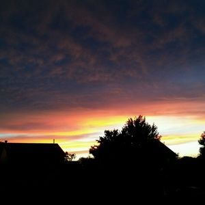 Meet your Posher, Caren